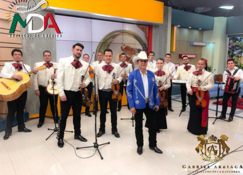 mariachi de america tampa