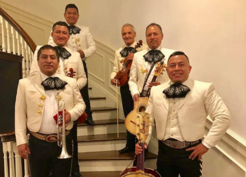 mariachi garibaldi tampa fl