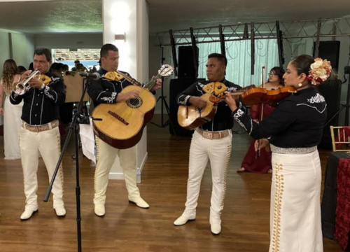 mariachi guadalupe tampa