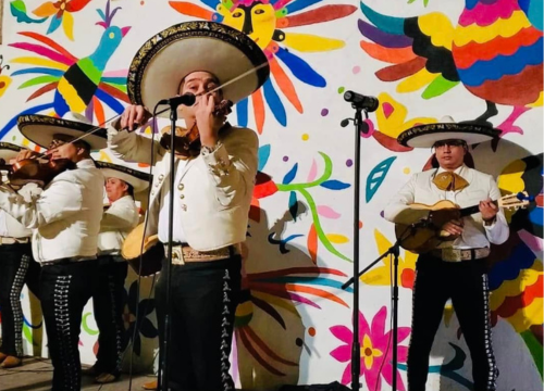 mariachi mcallen tx prices