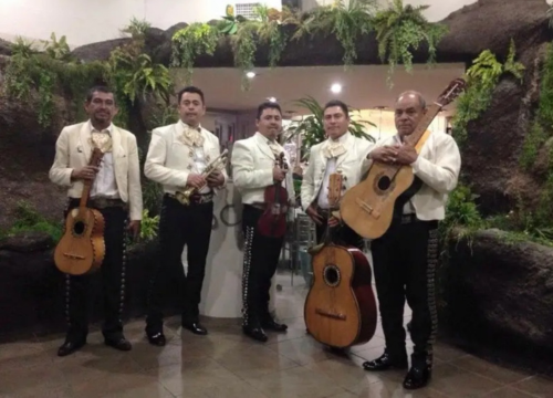 mariachi mcallen tx