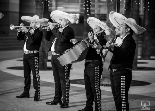 mariachi mexicanisimo hayward